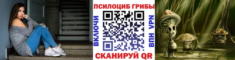 мориарти телеграм  Калачинск  Псилоцибиновые грибы Magic Shrooms 
